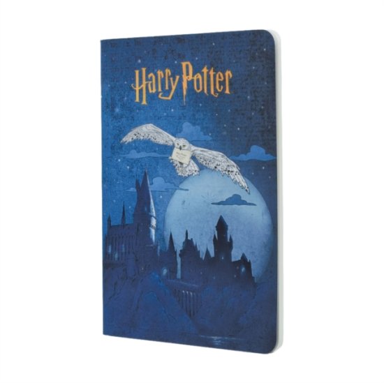 Cover for Paperblanks · Escape to Hogwarts (Harry Potter Collection) A5 Grid Cahier (Paperback Book) (2025)