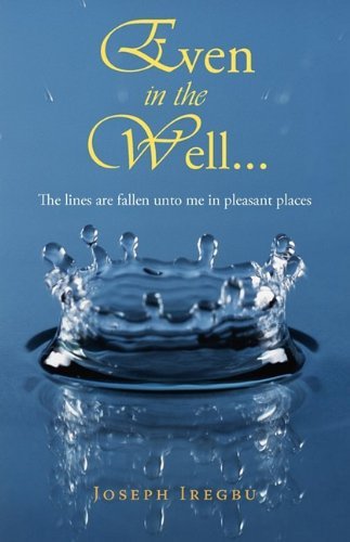 Cover for Joseph Iregbu · Even in the Well... (Paperback Book) (2009)