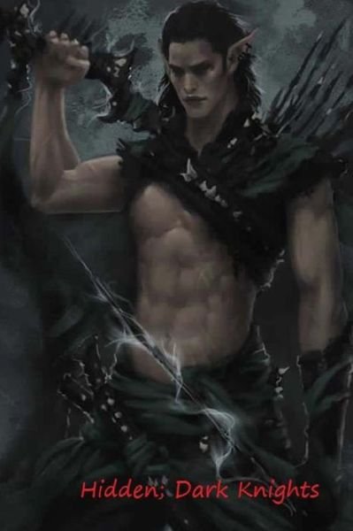 Cover for Miss Kelly Ann Shirley · Hidden; Dark Knights (Paperback Book) (2015)