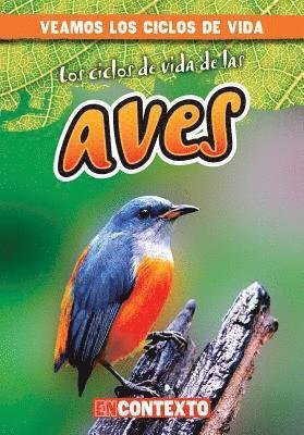 Cover for Bray Jacobson · Los Ciclos de Vida de Las Aves (Paperback Book) (2017)