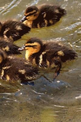 Cover for Wild Pages Press · Cute Baby Ducks Notebook (Paperback Book) (2017)