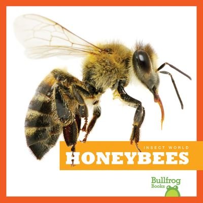 Honeybees - Mari C Schuh - 图书 - Bullfrog Books - 9781620314708 - 2013年8月1日