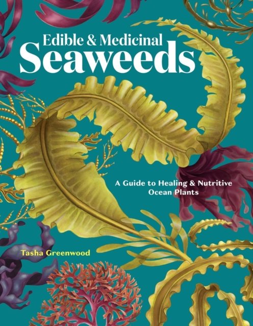 Cover for Tasha Greenwood · Edible &amp; Medicinal Seaweeds: A Guide to Healing &amp; Nutritive Ocean Plants (Paperback Book) (2026)