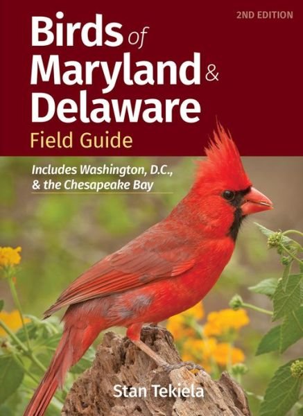 Cover for Stan Tekiela · Birds of Maryland &amp; Delaware Field Guide: Includes Washington, D.C., &amp; the Chesapeake Bay - Bird Identification Guides (Paperback Book) [2 Revised edition] (2023)