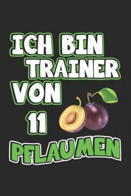 Cover for D Wolter · Ich bin Trainer von 11 Pflaumen (Paperback Book) (2019)