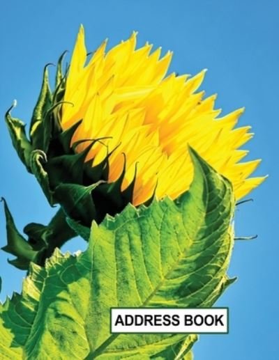 Cover for Babbs Notes · Low Vision Large Print Address and Password Record Book (Paperback Book) (2019)