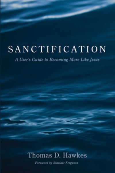 Cover for Thomas D Hawkes · Sanctification: A User's Guide to Becoming More Like Jesus (Paperback Book) (2020)