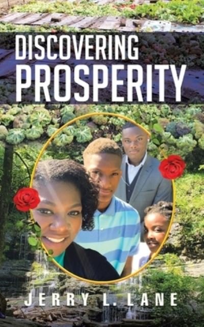 Cover for Jerry L Lane · Discovering Prosperity (Paperback Book) (2021)
