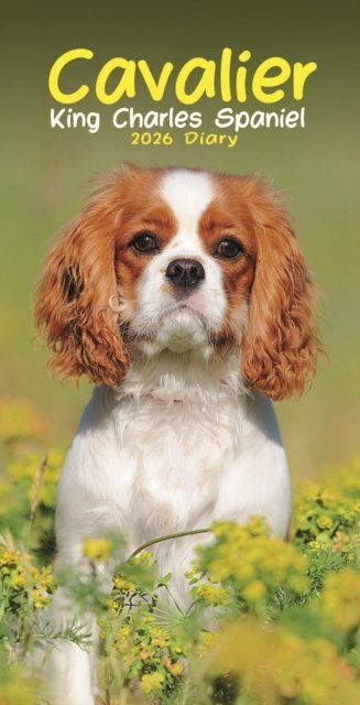 Cavalier King Charles Spaniels Slim Diary 2026 -  - 图书 - CAROUSEL DIARIES 2026 - 9781804608708 - 2025年8月18日