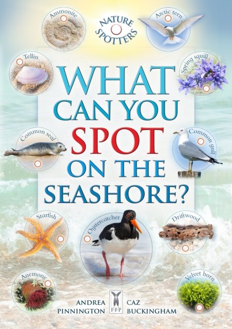 Cover for Caz Buckingham · What Can You Spot on the Seashore? (Paperback Book) (2023)