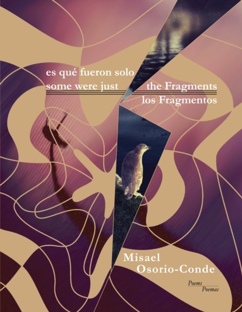 Cover for Misael Osorio-Conde · Some Were Just the Fragments // Es Que Fueron Solo Los Fragmentos (Paperback Book) [English and Spanish Language edition] (2026)