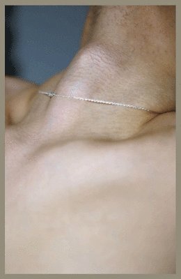 Cover for Shen Wei · A Season Particular (Hardcover Book) (2024)