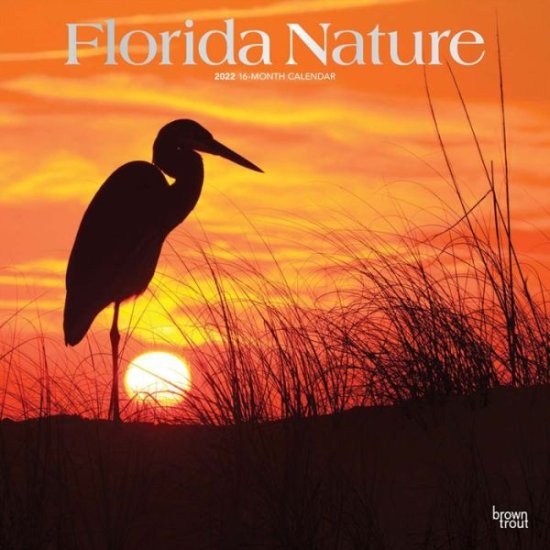 Cover for Browntrout · Florida Nature 2022 Square (Calendar) (2021)