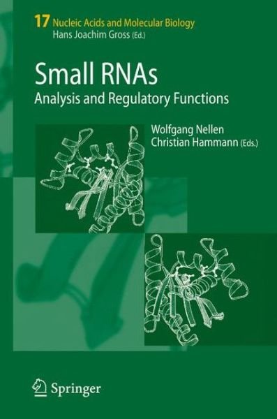 Cover for Wolfgang Nellen · Small RNAs:: Analysis and Regulatory Functions - Nucleic Acids and Molecular Biology (Paperback Book) [1st ed. 2005. 2nd printing 2007 edition] (2007)