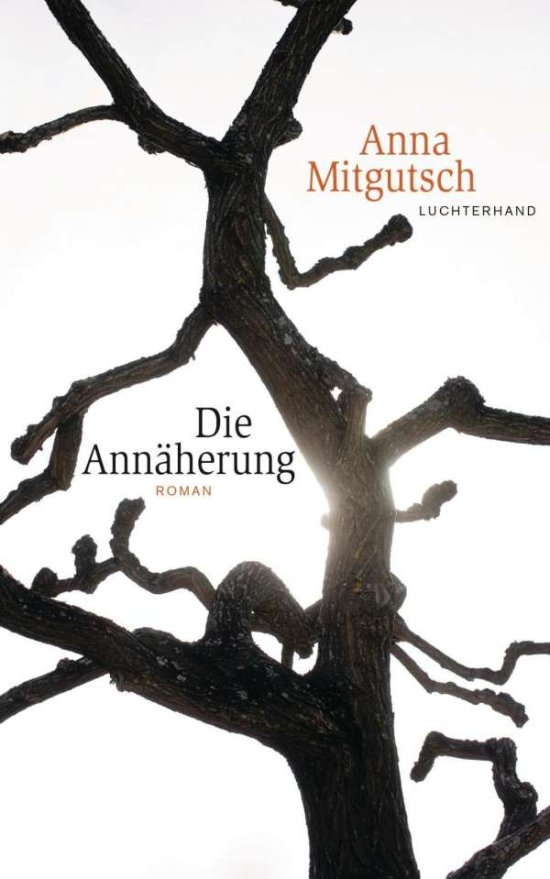 Die AnnÃ¤herung - Anna Mitgutsch - 图书 -  - 9783630874708 - 