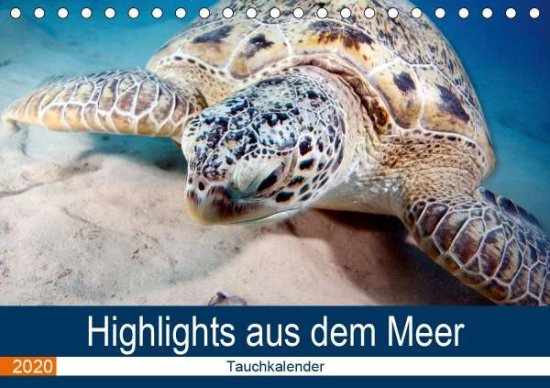 Cover for Gruse · Highlights aus dem Meer - Tauchka (Book)