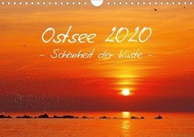 Cover for Woyke · Ostsee 2020 Schönheit der Küste ( (Book)