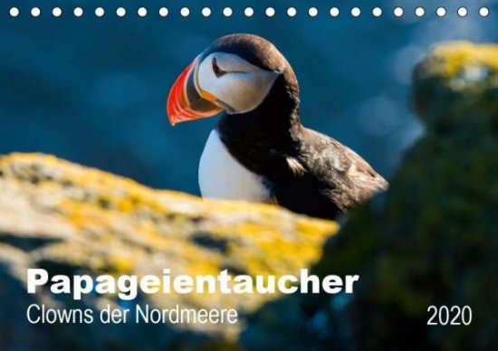 Cover for Wagner · PAPAGEIENTAUCHER - Clowns der No (Book)