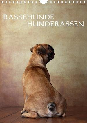 Cover for Behr · Rassehunde - Hunderassen (Wandkale (Book)