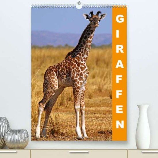 Cover for Woyke · Giraffen - Afrikas Größen (Premiu (Book)