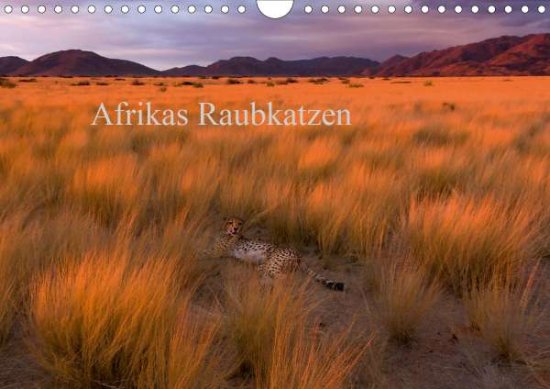 Cover for Voß · Afrikas Raubkatzen (Wandkalender 20 (Book)