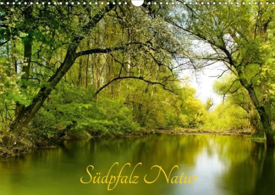 Cover for Brecht · Südpfalz Natur (Wandkalender 202 (Book)