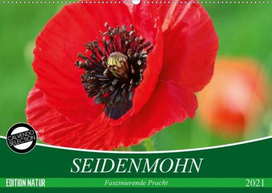 Cover for Kruse · Seidenmohn Faszinierende Pracht ( (Book)