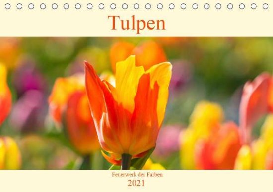 Cover for Scheurer · Tulpen - Feuerwerk der Farben (Book)
