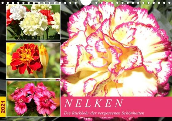 Cover for Hurley · Nelken. Die Rückkehr der vergess (Book)