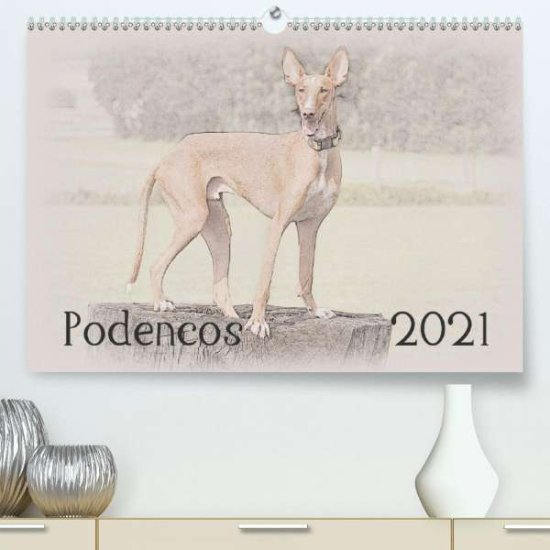 Cover for Redecker · Podencos 2021 (Premium, hochwe (Book)