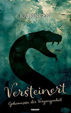 Cover for Katrin Geip · Versteinert (Book) (2025)