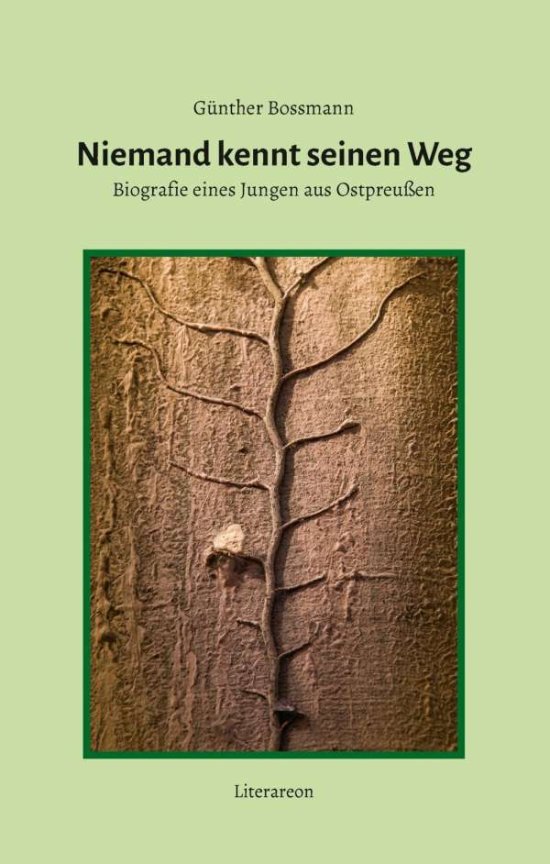 Cover for Bossmann · Niemand kennt seinen Weg (Book)