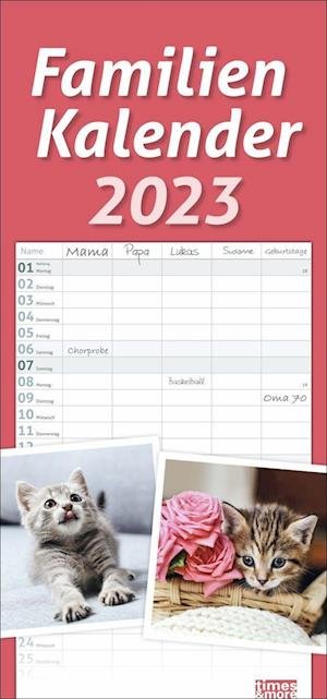 Cover for |Heye · Times &amp; More Katzen Familienplaner 2023 (Calendar) (2022)
