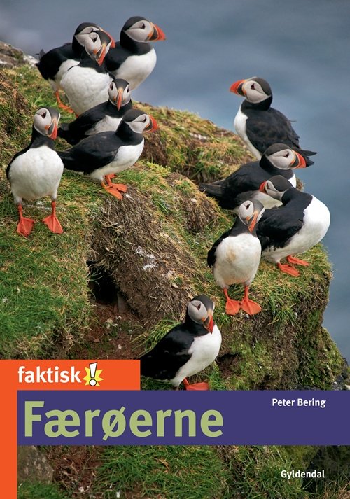 Cover for Peter Bering · Faktisk!: Færøerne (Sewn Spine Book) [第1 版本] (2011)