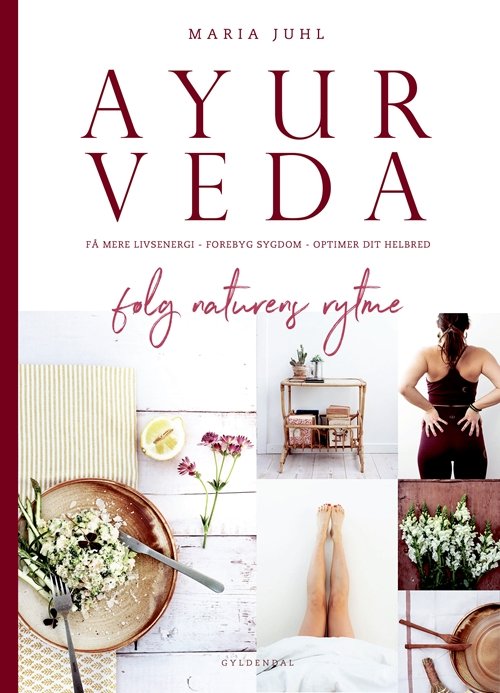 Cover for Maria Juhl · Ayurveda - følg naturens rytme (Bound Book) [第1 版本] (2019)
