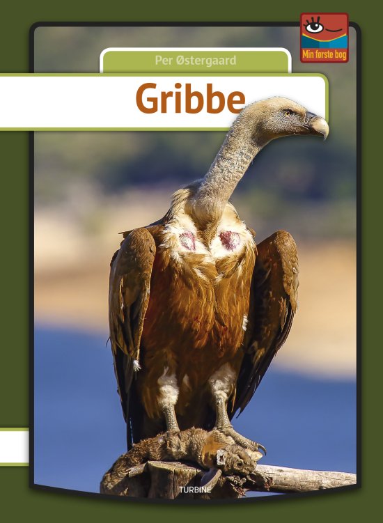 Cover for Per Østergaard · Min første bog: Gribbe (Hardcover Book) [第1 版本] (2019)