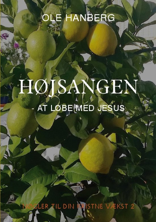 Cover for Ole Hanberg · Højsangen (Paperback Book) [第1 版本] (2025)
