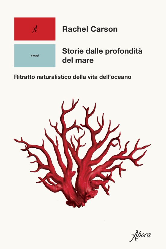 Cover for Rachel Carson · Storie Dalle Profondita Del Mare Ritratto Naturalistico Della Vita Delloceano (Book)
