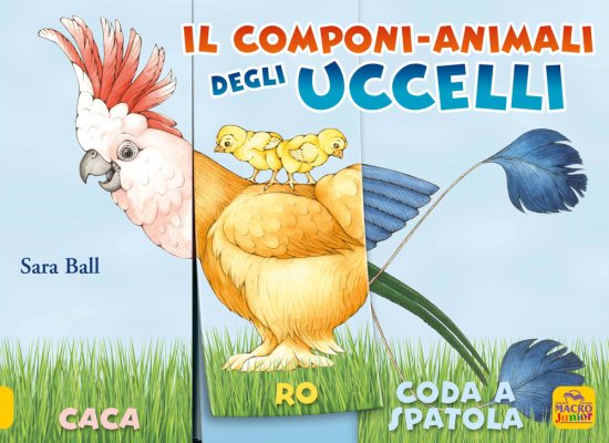 Cover for Sara Ball · Il Componi-Animali Degli Uccelli. Ediz. A Colori (Book)