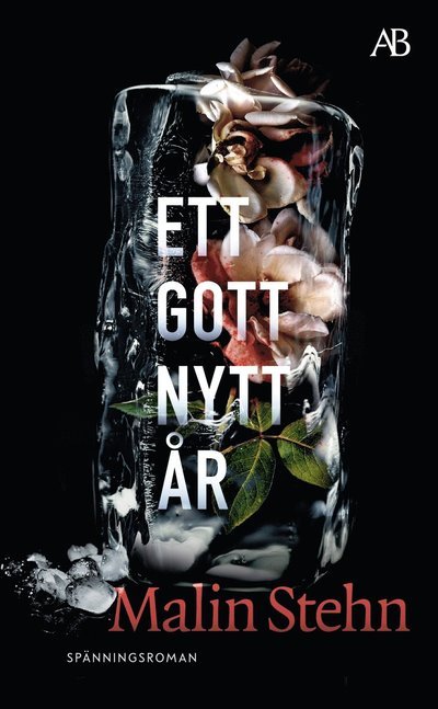 Cover for Malin Stehn · Ett gott nytt år (Paperback Book) (2022)
