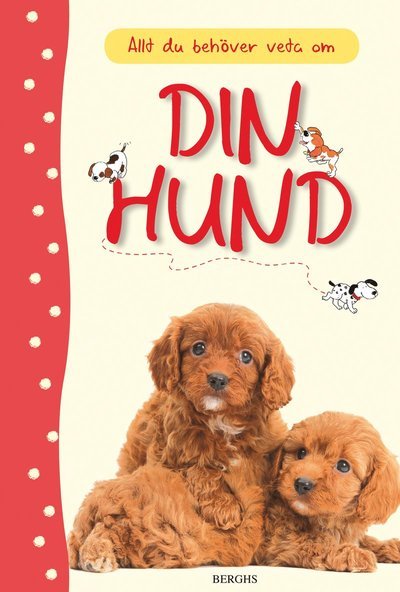 Cover for Katherine Starke · Allt du behöver veta om din hund (Hardcover Book) (2013)