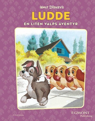 Cover for Annie North Bedford · Ludde. En liten valps äventyr (PDF) (2021)