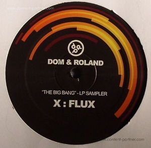 Cover for Dom &amp; Roland · The Big Bang LP Sampler (12") (2011)