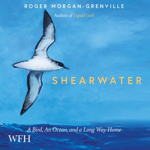 Cover for Roger Morgan-Grenville · Shearwater: A Bird, an Ocean, and a Long Way Home (Audiobook (CD)) [Unabridged edition] (2021)