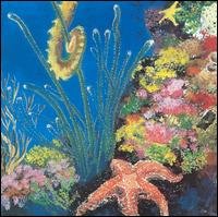 Seahorse - Ekoostik Hookah - 音乐 - Ekoostik Productions - 0650850000721 - 2002年11月1日