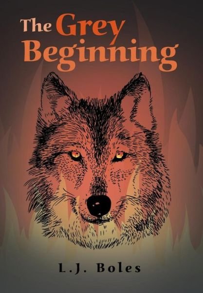 Cover for L. J. Boles · The Grey Beginning (Hardcover Book) (2014)