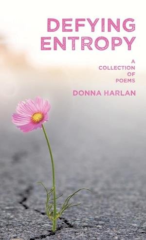 Cover for Donna Harlan · Defying Entropy (Book) (2024)