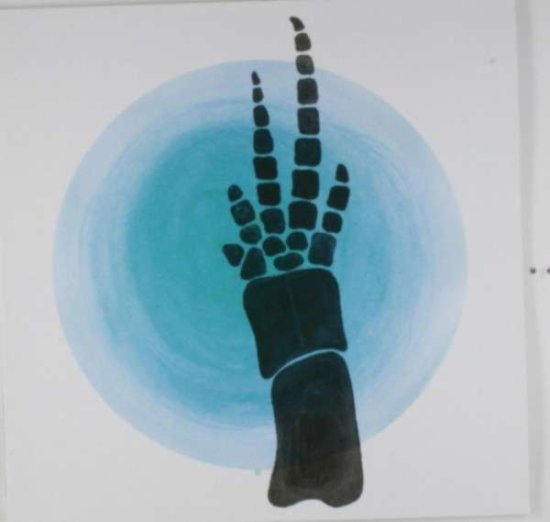 Cover for Nadja · Flipper (LP) (2013)