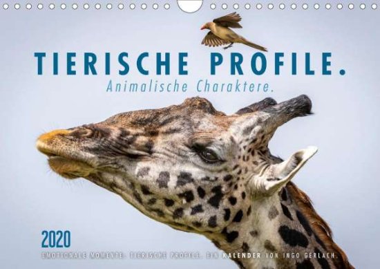 Cover for Gerlach · Tierische Profile (Wandkalender (Book)