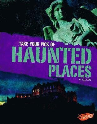 Cover for G. G. Lake · Take Your Pick of Haunted Places (Book) (2017)